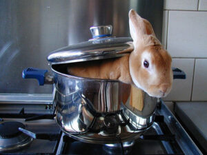 bunny-boiler