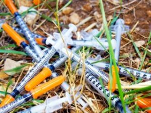 needles russia
