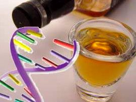alcohol-gene-dna-45660