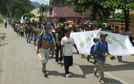 ART_cocaleros_tingomarianew