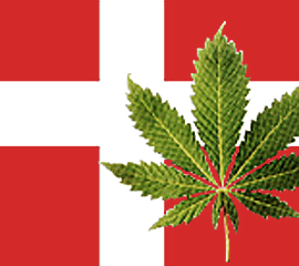 thefix_denmark marijuana2