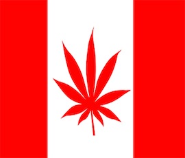 canada-pot-flag