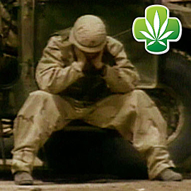 ptsd-cannabis-fix