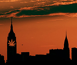 new-york-marijuana-fix