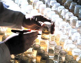 LabXpress-Franchise-Lab-Testing-Equipment-FranchiseHelp