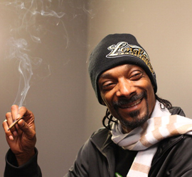 snoop-d-fix