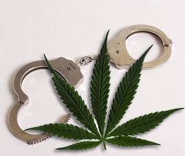 handcuffs-marijuana