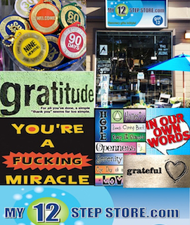 12-step-store copy