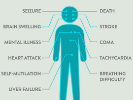 Screen Shot 2012-09-19 at 1