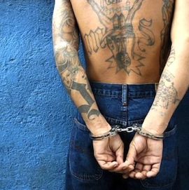 6a00d8341c630a53ef017c32775bcd970b-640wi