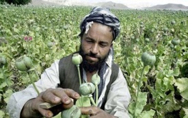 Afghan-farmer-with-opium--006