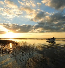 an-airboat-ride-is-just