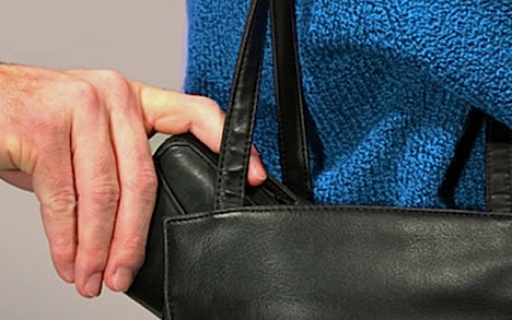 theft-purse2