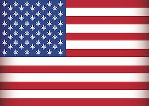marijuana flag