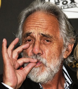 tommy-chong