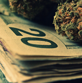 tumblr_m17xwzRzuf1r1crnco1_500