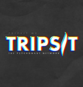 tripsit large