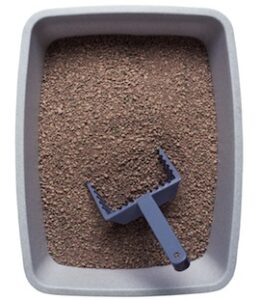 Side-Effects-of-Cat-Litter