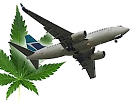 pot-plane