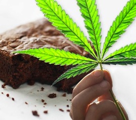 weed-brownies-recipes-medical-marijuana-thcfinder