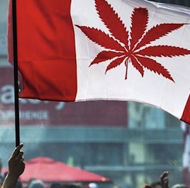 EC3A57DA355E22AAE71C3E079889_h316_w628_m5_cPfJnzViD