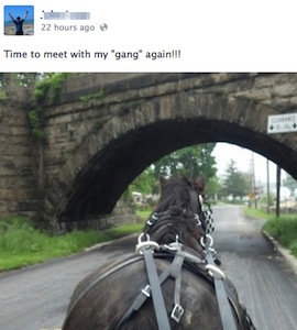 enhanced-buzz-27666-1369089498-3