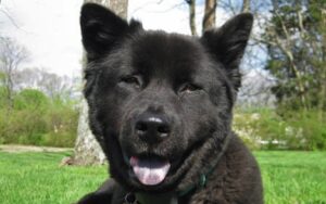 2009040423848_IMG_1397