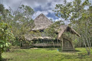 ayahuasca house