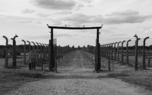 shutterstock_95544076