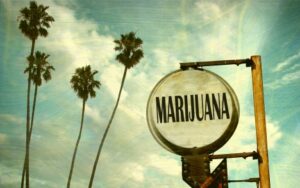 marijuanasign