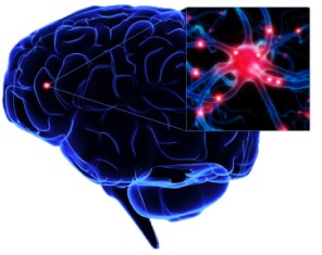 stimulants-brain-damage