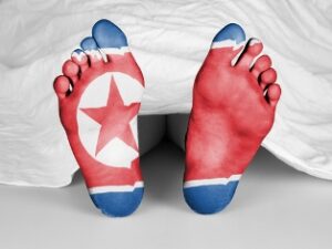 dead north korea