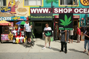 pot shop venice