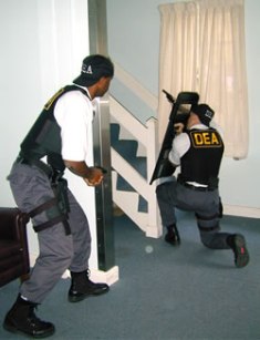 dea assault