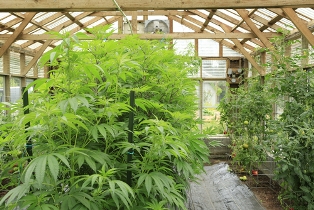 grow house