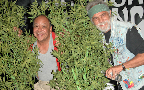 shutterstock_108252227