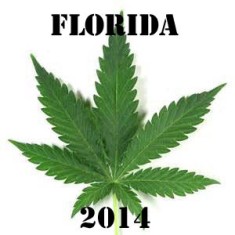 florida med pot 2014