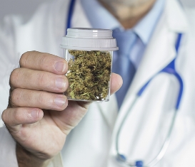 medical pot doc