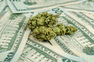 marijuana money
