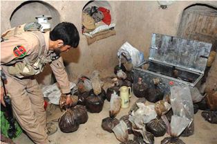 afghan soldier poppy