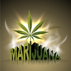marijuana concept