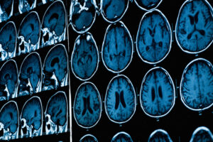 shutterstock_210047401