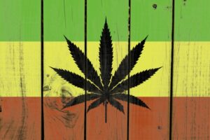 rasta flag marijuana