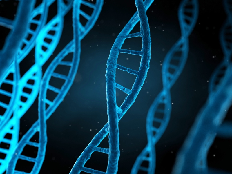 blue human genome