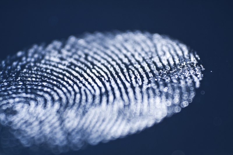 cocaine fingerprint