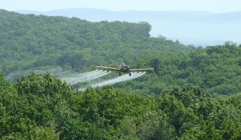 Spraying drug crops