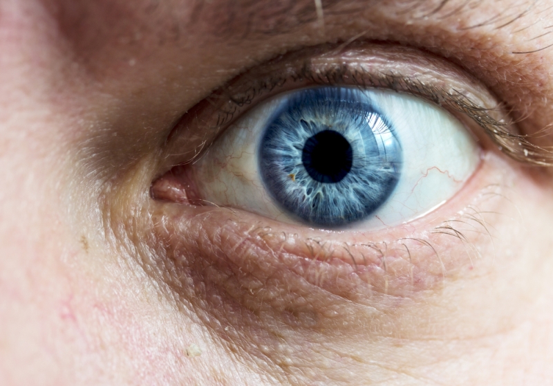closeup blue eye