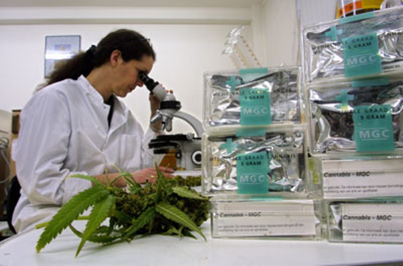 weed research