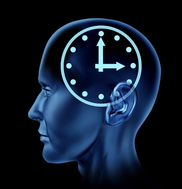 brain clock