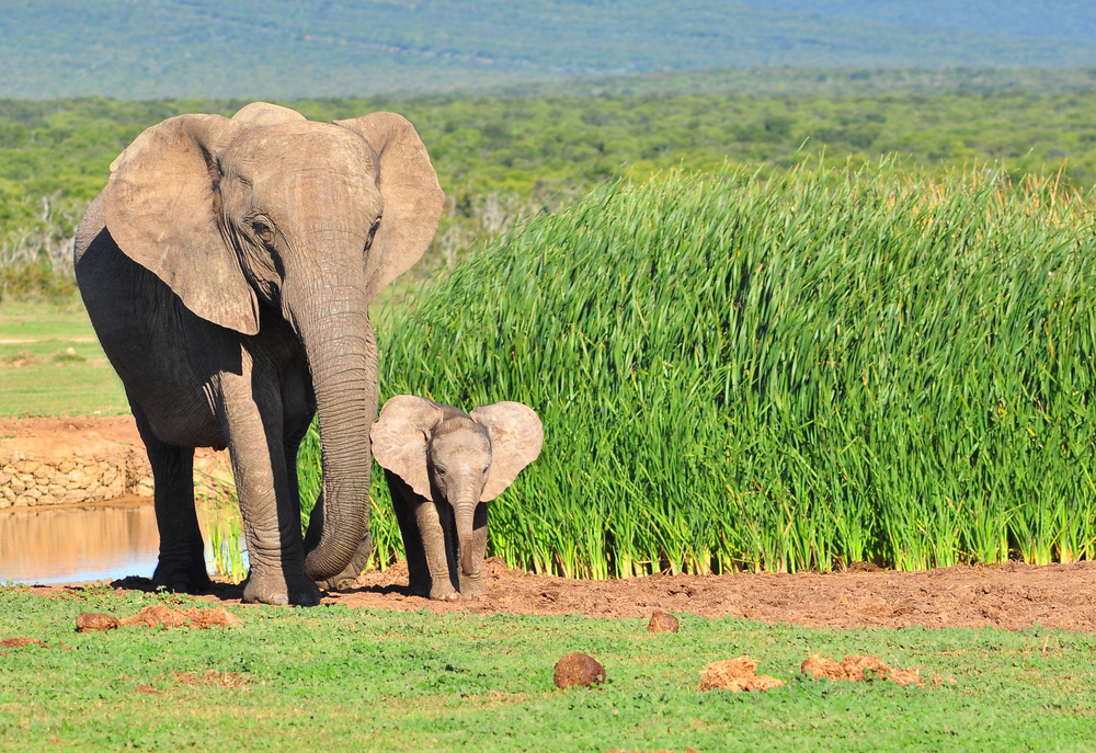 I've got my brains back, now what?